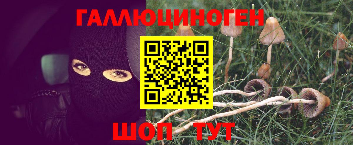 Семилуки  Псилоцибиновые грибы Cubensis  Галлюциногенные грибы ЛСД  Вход с VPN 
